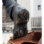 Scarpa da lavoro alta Taurus S3